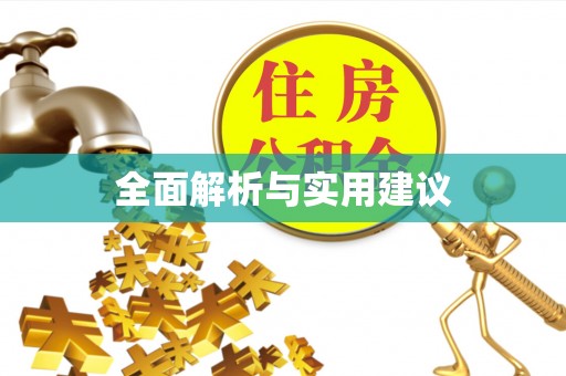 洪泽全面解析与实用建议