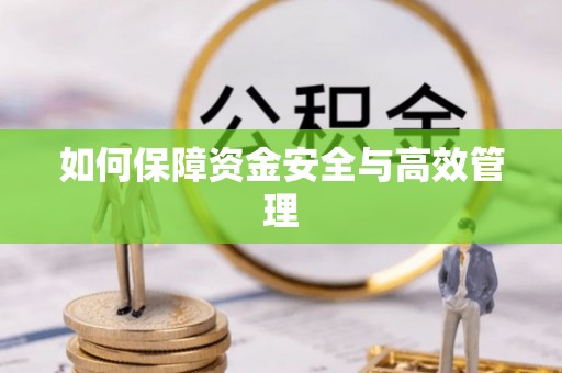 洪泽如何保障资金安全与高效管理
