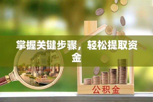 洪泽掌握关键步骤，轻松提取资金