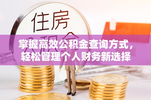 洪泽掌握高效公积金查询方式，轻松管理个人财务新选择
