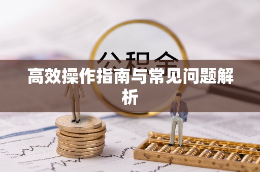 洪泽高效操作指南与常见问题解析