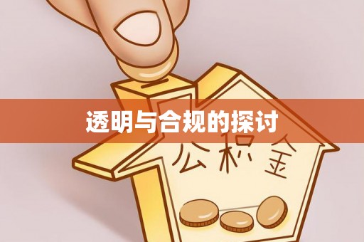 洪泽透明与合规的探讨