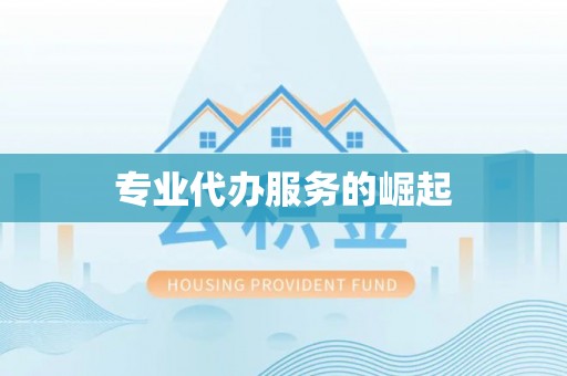 洪泽专业代办服务的崛起