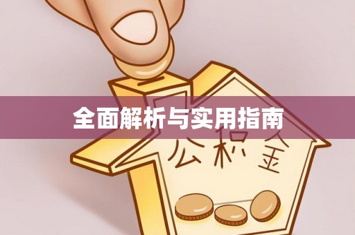洪泽全面解析与实用指南