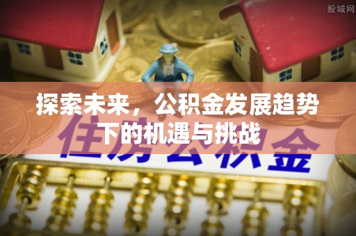 洪泽探索未来，公积金发展趋势下的机遇与挑战