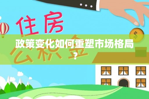洪泽政策变化如何重塑市场格局？