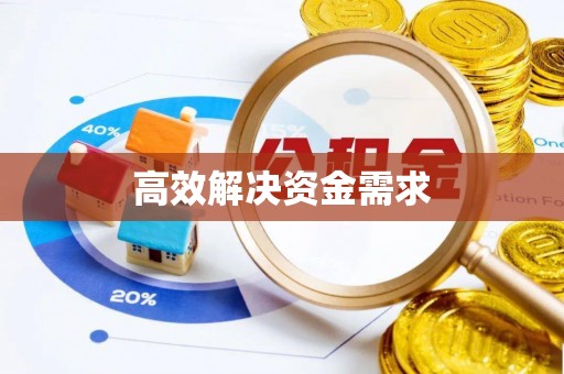 洪泽高效解决资金需求