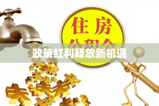 洪泽政策红利释放新机遇