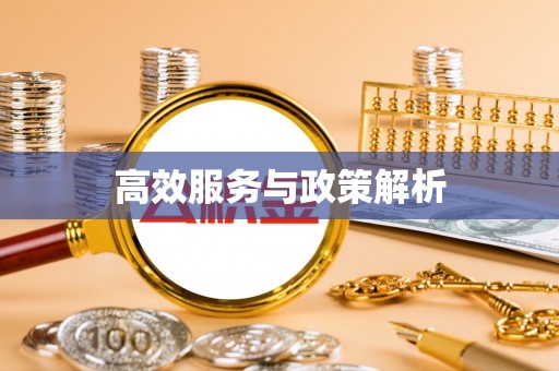 洪泽高效服务与政策解析