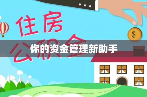 洪泽你的资金管理新助手