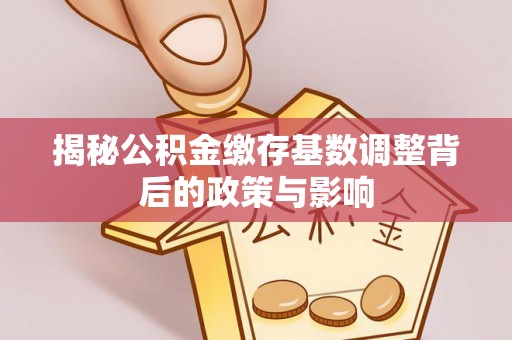 洪泽揭秘公积金缴存基数调整背后的政策与影响