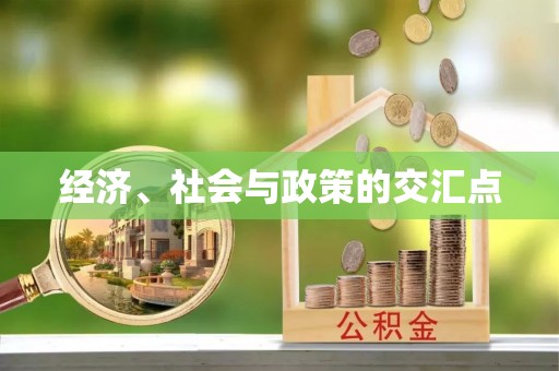 洪泽经济、社会与政策的交汇点