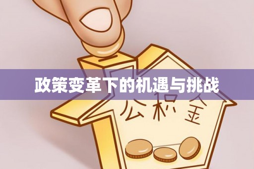 洪泽政策变革下的机遇与挑战