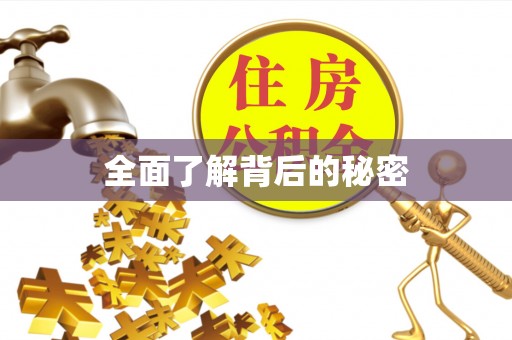 洪泽全面了解背后的秘密