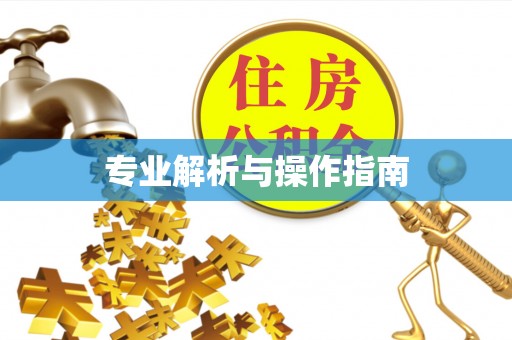 洪泽专业解析与操作指南