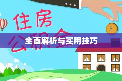 洪泽全面解析与实用技巧