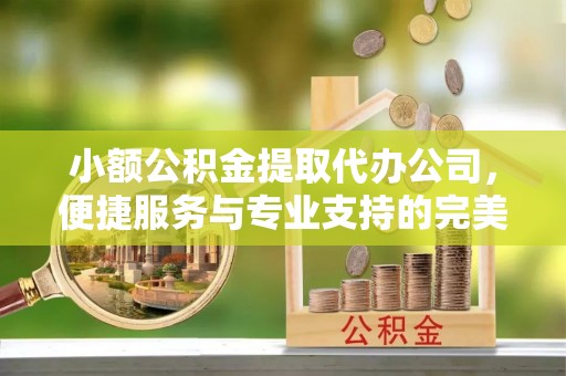 洪泽小额公积金提取代办公司，便捷服务与专业支持的完美结合