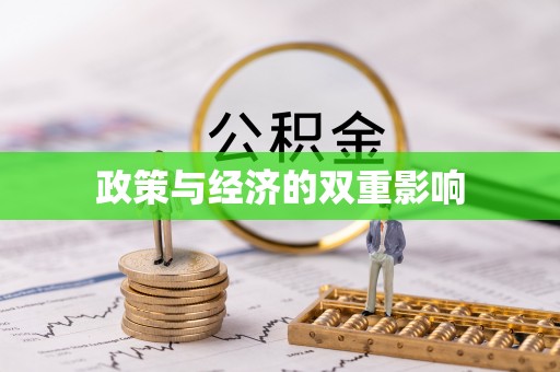 洪泽政策与经济的双重影响