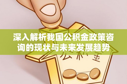 洪泽深入解析我国公积金政策咨询的现状与未来发展趋势