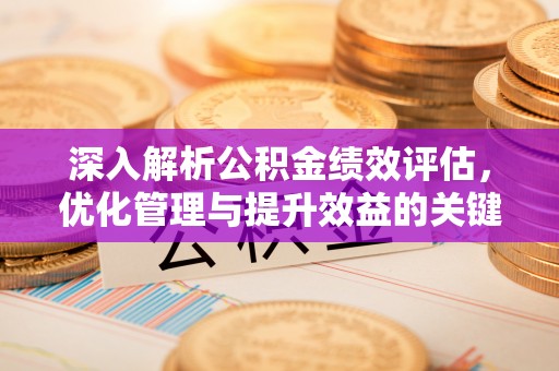 洪泽深入解析公积金绩效评估，优化管理与提升效益的关键路径