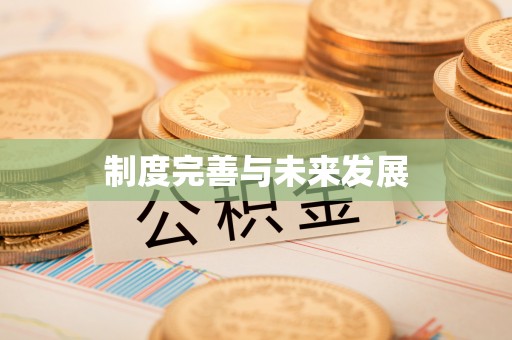 洪泽制度完善与未来发展