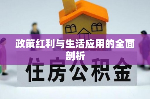 洪泽政策红利与生活应用的全面剖析