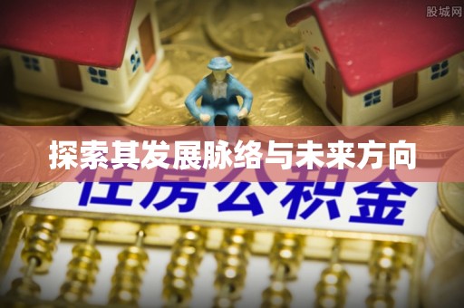 洪泽探索其发展脉络与未来方向