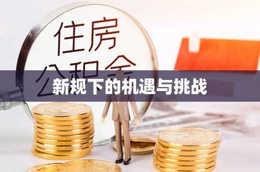 洪泽新规下的机遇与挑战
