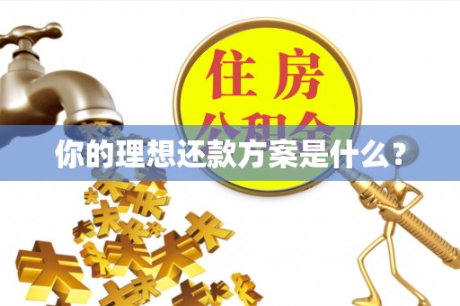 洪泽你的理想还款方案是什么？