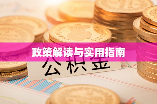 洪泽政策解读与实用指南