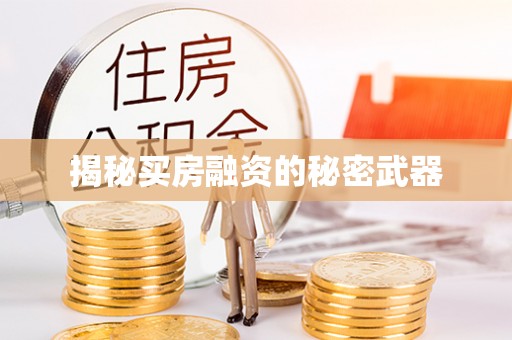 洪泽揭秘买房融资的秘密武器