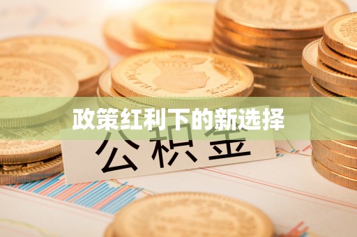 洪泽政策红利下的新选择