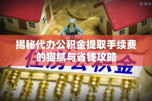 洪泽揭秘代办公积金提取手续费的猫腻与省钱攻略