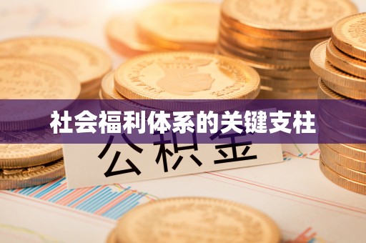 洪泽社会福利体系的关键支柱