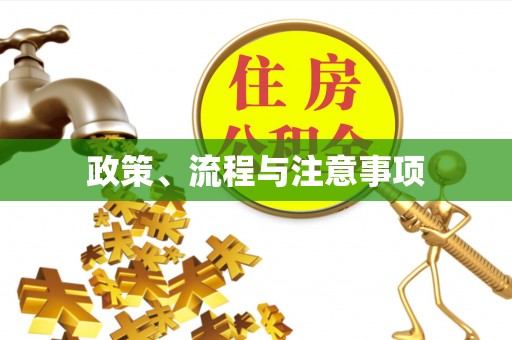 洪泽政策、流程与注意事项