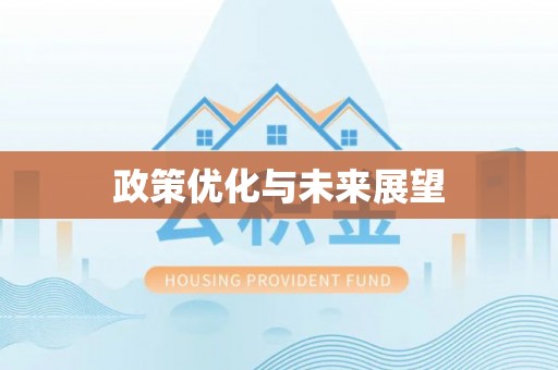 洪泽政策优化与未来展望