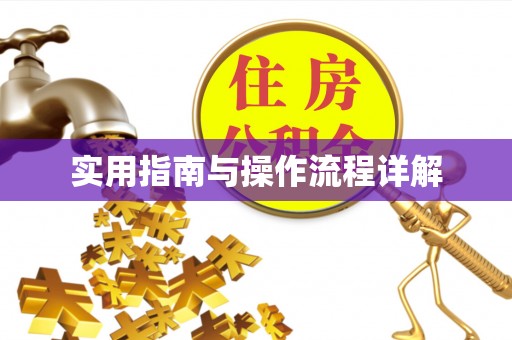 洪泽实用指南与操作流程详解