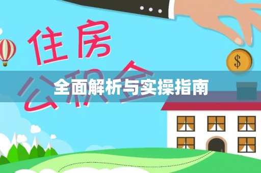 洪泽全面解析与实操指南