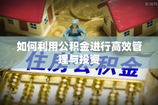 洪泽如何利用公积金进行高效管理与投资