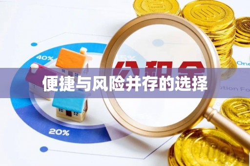 洪泽便捷与风险并存的选择