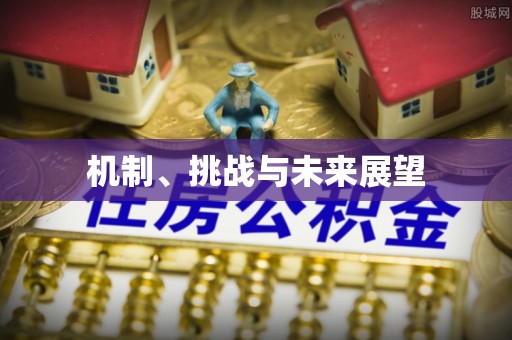 洪泽机制、挑战与未来展望