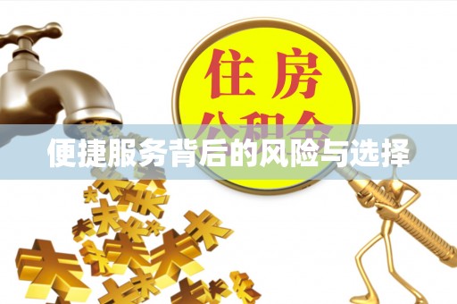 洪泽便捷服务背后的风险与选择
