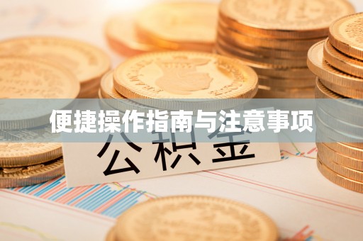 洪泽便捷操作指南与注意事项