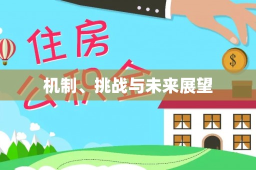 洪泽机制、挑战与未来展望
